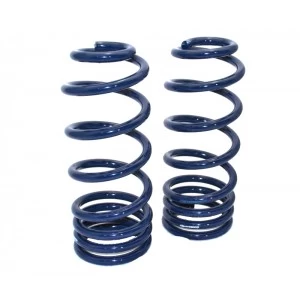 1964-1967 GM A-Body StreetGRIP Lowering Coil Springs - Rear - Dual Rate - Pair